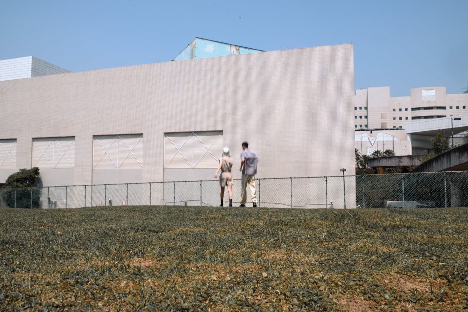 Light wind winds light